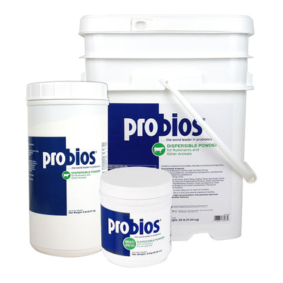 Dispersible Powder